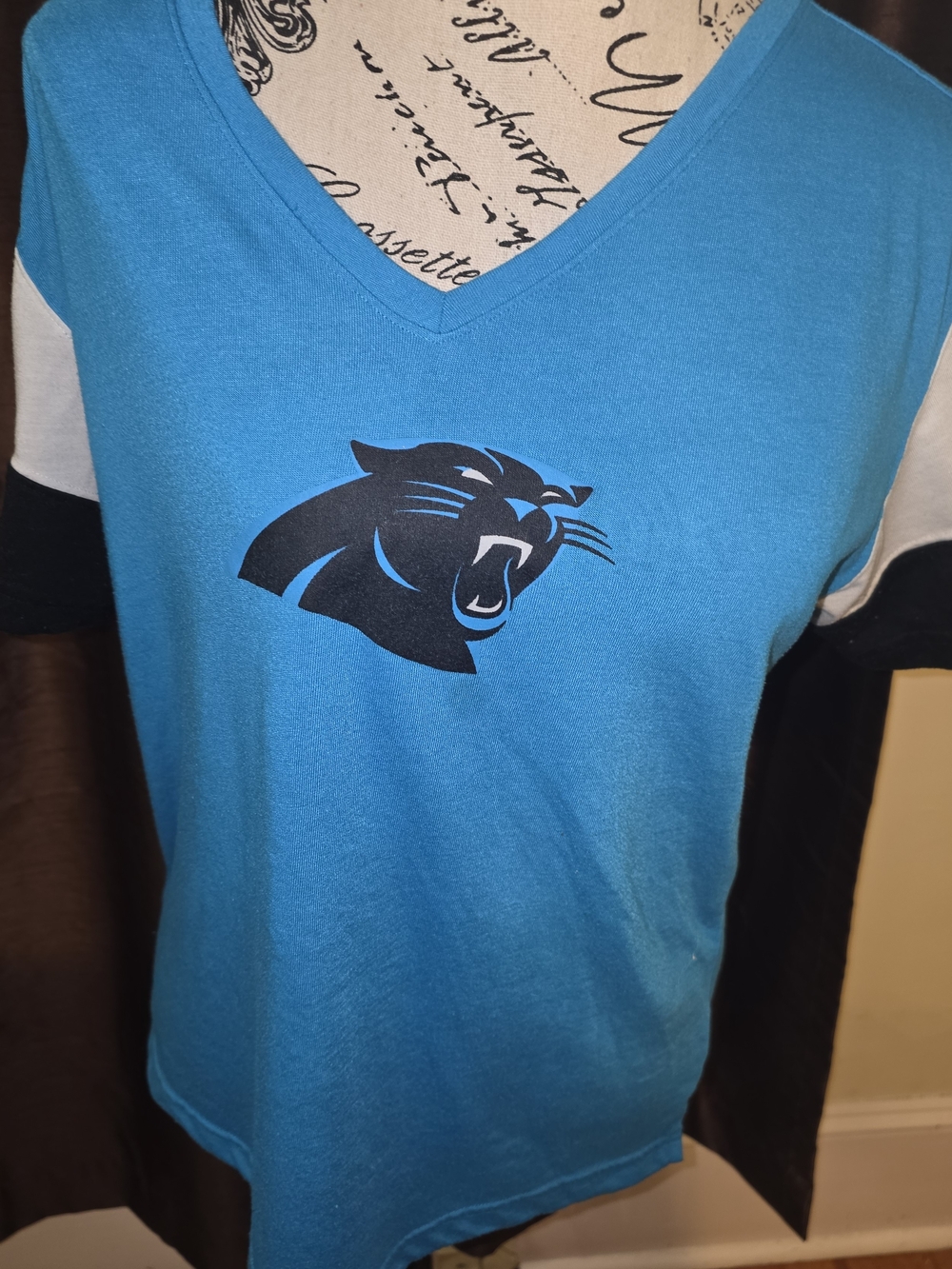 NFL Carolina Panthers Women's Teal V-Neck Tee Medium